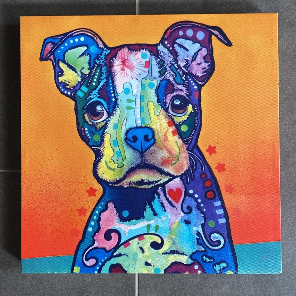 Dean Russo 12 X 12  At Home Boston‎ Terrier colorful canvas print